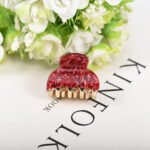 Acrylic Hair Clips Women's Ponytail Hair Catching Bath Tray Hair Clips - Image 8