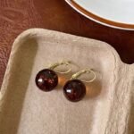 Maillard Autumn Winter Amber Earrings Women Circle Hoop Ear Cuffs Light Luxury - Image 6